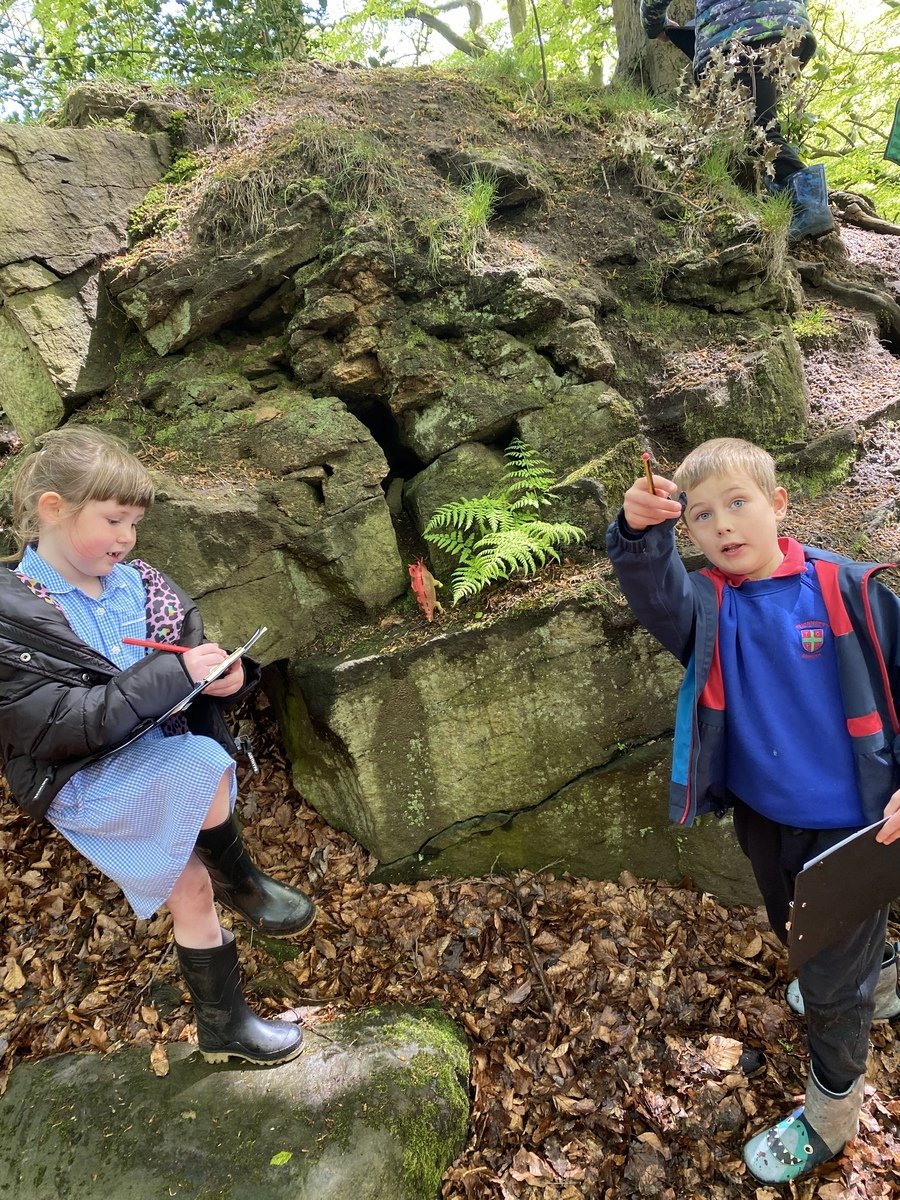 A walk to the woods to find evidence of the dinosaurs.  