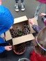 EYFS Bug Hotel 