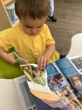 thumbnail_IMG_1847.jpg
