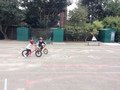 IMG_3072.JPG