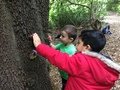 IMG_4856.JPG