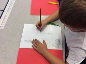 IMG_0773.JPG