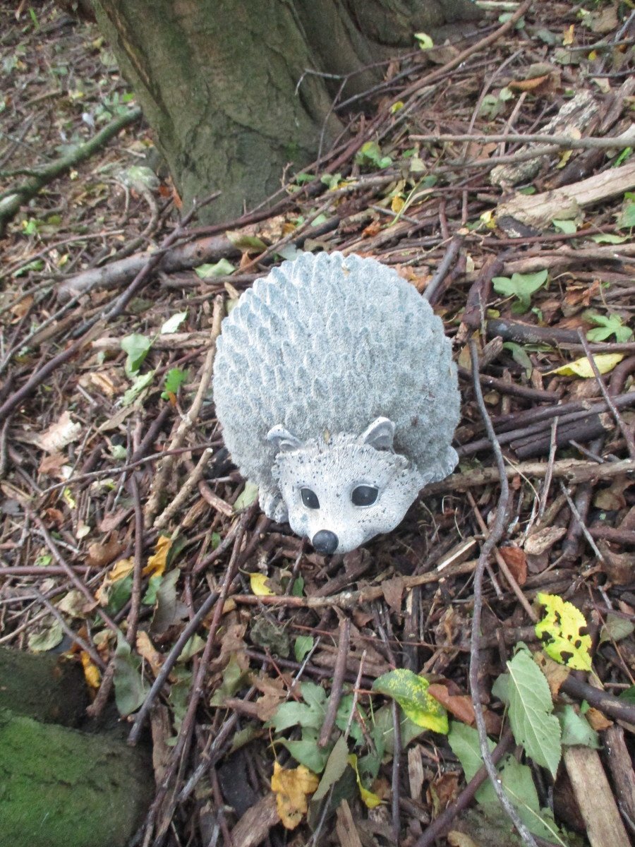 Reception - Hedgehog Class