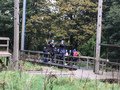 CAD98012-FD6C-47AD-86D0-6805D7B43914.jpeg