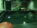 37AE4EC2-4E88-4263-9AB4-6C1844A08BD9.jpeg