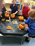 IMG_4362.JPG