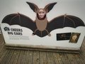 IMG_20211117_103841.jpg
