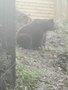 IMG_20211117_104845.jpg
