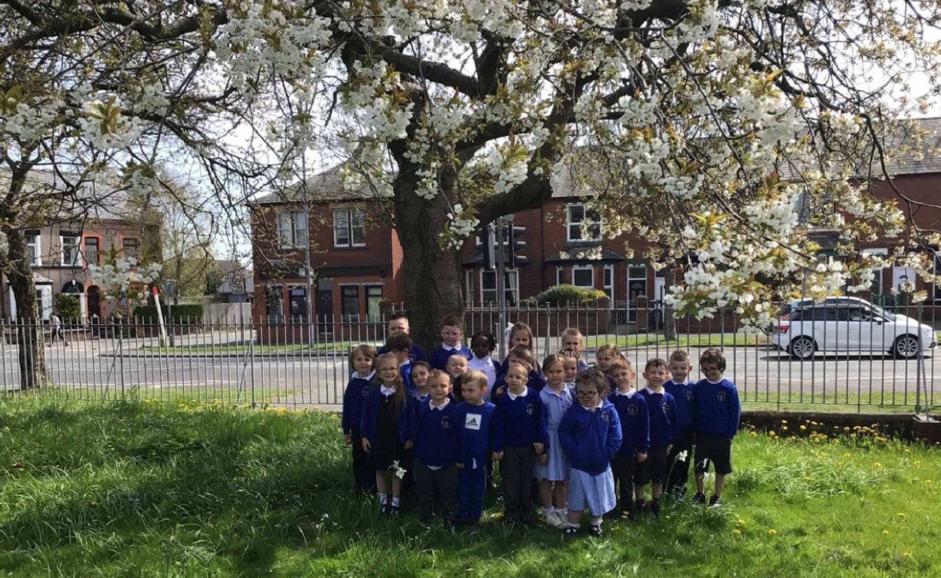 Cambridge Primary School English and Reading