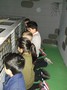 DSCF0338.JPG