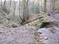 DSCF0407.JPG