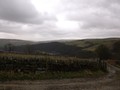 DSCF0419.JPG