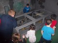 DSCN1475.JPG