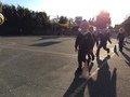 5BD5861A-B75E-483D-AF73-C798F524C428.jpeg
