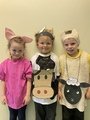 The animals 