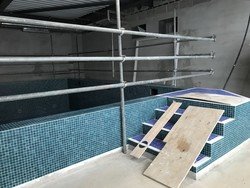 thumbnail_IMG_8577.jpg