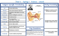 Sound curriculum map.PNG