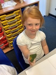 IMG_0494.JPG
