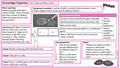 Year-2_SR_Unit-1-1920x1080.jpg
