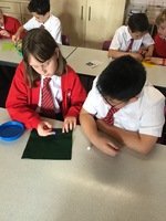 IMG_1906.JPG