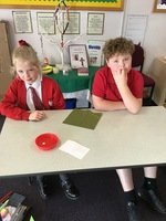 IMG_1918.JPG