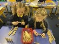 Clothes Peg Construction