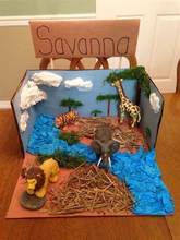 savana.jpg
