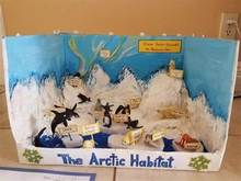 arctic1.jpg