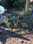 IMG_6664.JPG