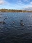 IMG_1464.JPG