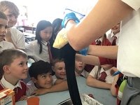 759810B1-8B0F-4A19-8E77-27C65DA1383D.jpeg