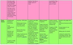 Y1 Curriculum Map 6.JPG