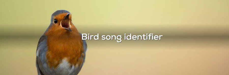 RSPB bird song identifier