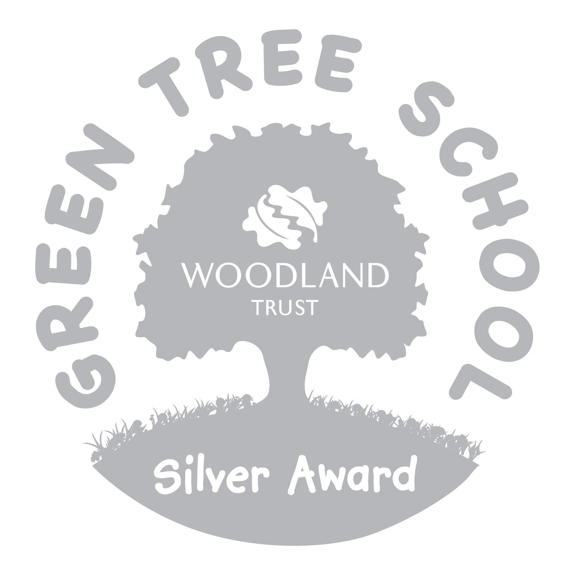 silver award