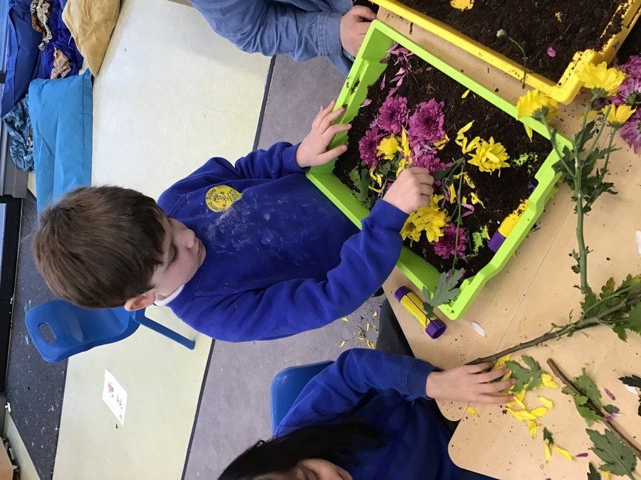 S- Pathway 1 - Year 1 S engaged really well in Science this week, exploring flowers and soil and making his own 'garden'! 