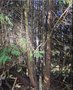 IMG_7095.jpeg