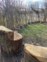 IMG_7079.jpeg