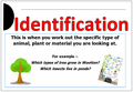 identification.png