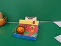 PXL_20220303_111204880.jpg
