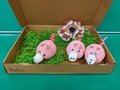 PXL_20220303_111419156.jpg