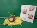PXL_20220303_111922280.jpg