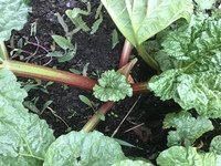 IMG_0673.JPG