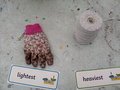 IMG_20220203_111655.jpg