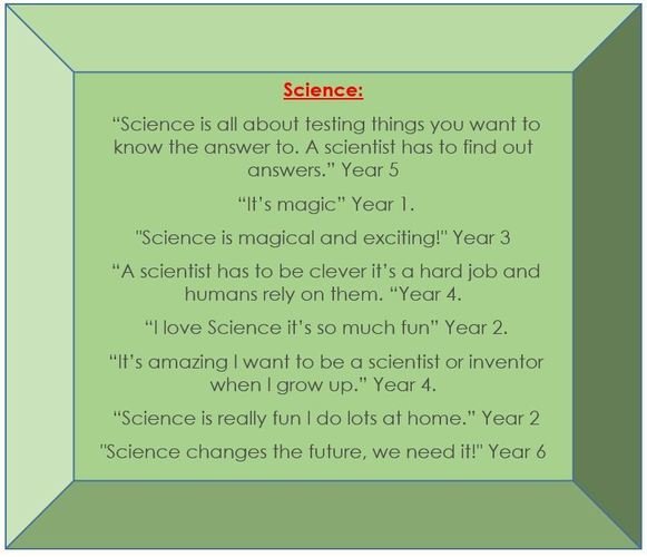 Science Pupil Voice .JPG