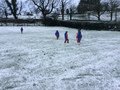IMG_7027.JPG