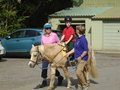 horse riding first session (22).JPG