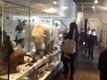 IMG_2204.JPG