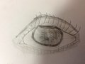 IMG_6664.JPG