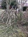IMG_4807.jpeg