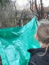 IMG_4801.jpeg